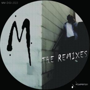 Download track The Tribe (Melodymann Remix) MelodymannSnazzy Trax