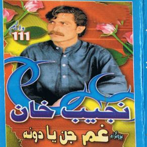 Download track Gumjan Yadona, Pt. 6 Najeeb Khan