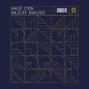 Download track Tough Shuffle Hailie Stein