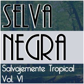 Download track Hoy Que No Estás Aquí Selva Negra