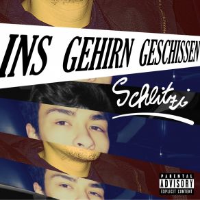 Download track Ins Gehirn Geschissen Schlitzi