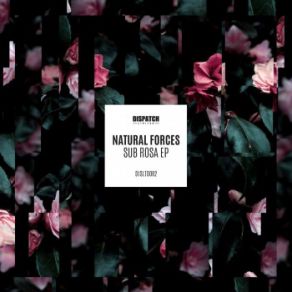 Download track Bloodline Natural Forces