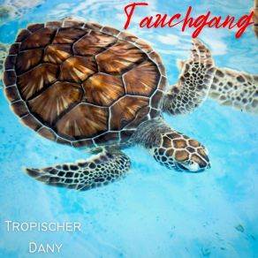 Download track Richtung Sonnenuntergang Tropischer Dany