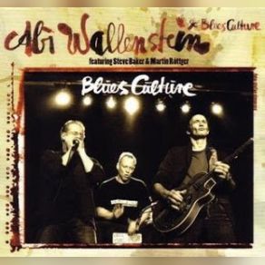 Download track Country Blues Abi Wallenstein, Blues Culture, Steve Baker