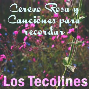 Download track Espuma De Mar Los Tecolines