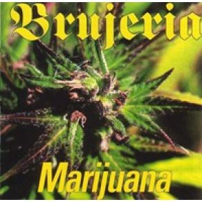 Download track Only Solutions Brujería