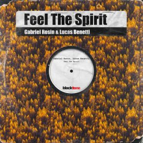 Download track Feel The Spirit Gabriel Rosin