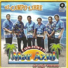 Download track Mi Cabaña Conjunto Mar Azul