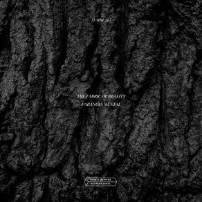 Download track Eco Psicológico The Fabric Of Reality