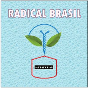 Download track Metáforas Radical Brasil