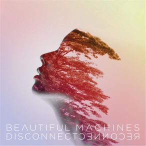 Download track Strange Is True Beautiful Machines