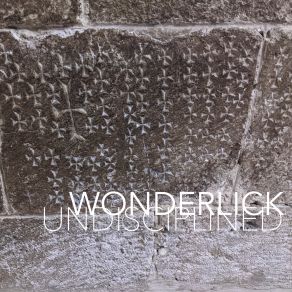 Download track Well Equipped Wonderlick