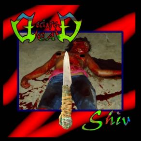 Download track Shiv Declared Dead