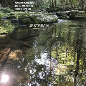 Download track Paul Ben Perowsky