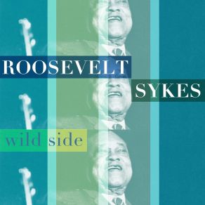 Download track Never Loved Like This Before Roosevelt Sykes