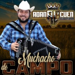 Download track Caminos De Michoacan (En Vivo) Su Plebada