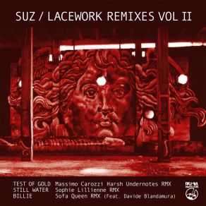 Download track Test Of Gold (Massimo Carozzi Harsh Undertones Remix) Suz