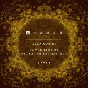 Download track In The Flex (Padh Remix) Luca Gurini