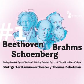 Download track String Quintet No. 2 In G Major, Op. 111: I. Allegro Non Troppo, Ma Con Brio Thomas Zehetmair, Stuttgarter Kammerorchester