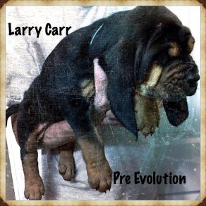 Download track I'm Not Tired Larry Carr