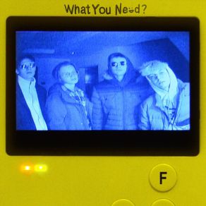 Download track What You Need? F-Pressers