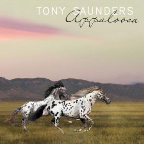 Download track The Question Is Tony SaundersFred Ross, Sakai