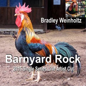 Download track Barnyard Rock (Live) Bradley Weinholtz