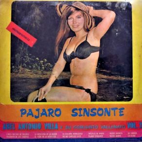 Download track Pájaro Sinsonte Abel Antonio Villa