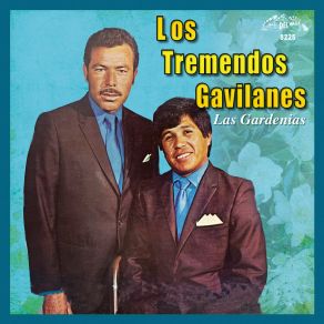 Download track Las Canicas (Instrumental) Los Tremendos GavilanesΟΡΓΑΝΙΚΟ