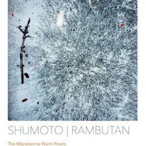 Download track Out Of The Void Rambutan, Shumoto