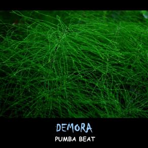 Download track Demora Pumba Beat