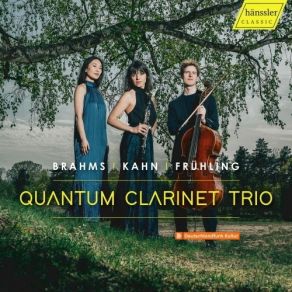 Download track 02 - Frühling - Clarinet Trio In A Minor, Op. 40- II. Anmutig Bewegt Quantum Clarinet Trio