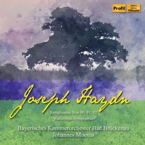 Download track Symphony No. 91 In E-Flat Major, Hob. I'91 III. Menuet. Un Poco Allegretto Bayerisches Kammerorchester Bad Brückenau