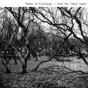 Download track Feel My Heart Again (Danny Briottet Dub) Rates Of Exchange