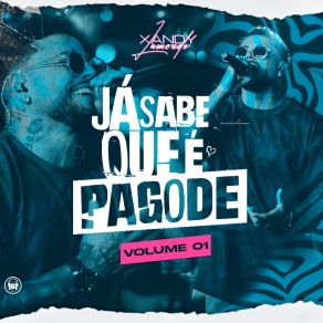 Download track Sereia / Set Dos Casados / Posturada (Ao Vivo) Xandy Lamonde