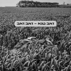 Download track תחת חול רך Zeev Tene