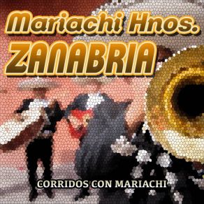 Download track Potro Lobo Gateado Mariachi Hermanos Zanabria