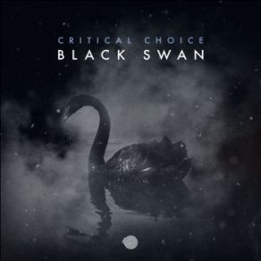 Download track Black Swan (Original Mix) Critical Choice