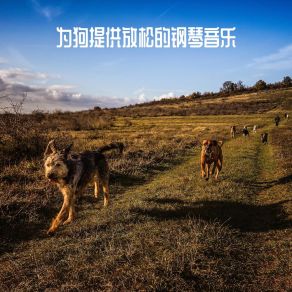 Download track 狗的歌 RW 爱犬音乐