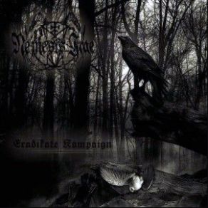 Download track Asmodeus Nemesis Irae