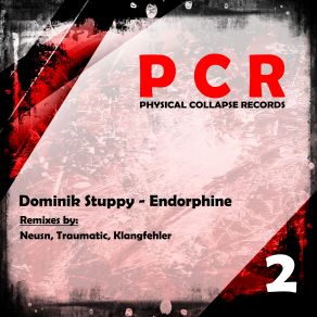 Download track Endorphine Dominik Stuppy