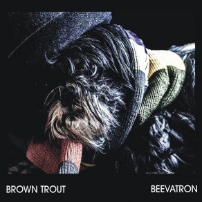 Download track Paradox Brown Trout