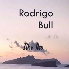 Download track Night Of Heaven Rodrigo Bull