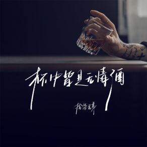 Download track 杯中皆是无情酒 拾柒兄弟