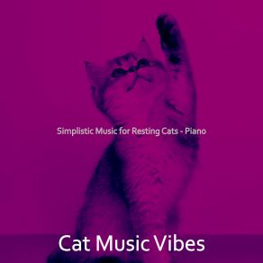 Download track Sensational Solo Piano Jazz - Vibe For Kittens Cat Music Vibes