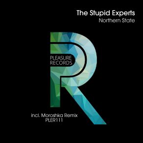 Download track Northern State (Original Mix) The Stupid Experts