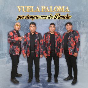 Download track Corazón De Hielo Por Siempre Voz De Rancho