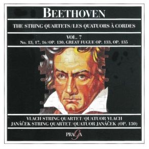 Download track 3. Quatuor A Cordes No. 13 En Si Bemol Majeur Op. 130 - 3. Andante Con Moto Ma Non Troppo Ludwig Van Beethoven