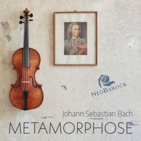 Download track Sonate G-Moll (Rekonstruktion Der Vermuteten Urfassungen Für 2 Violinen Und Basso Continuo Nach BWV 1029): I. Vivace NeoBarock