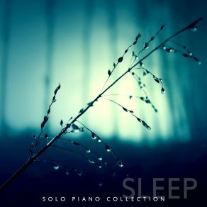 Download track Moonlight Dream Soft Jazz Mood